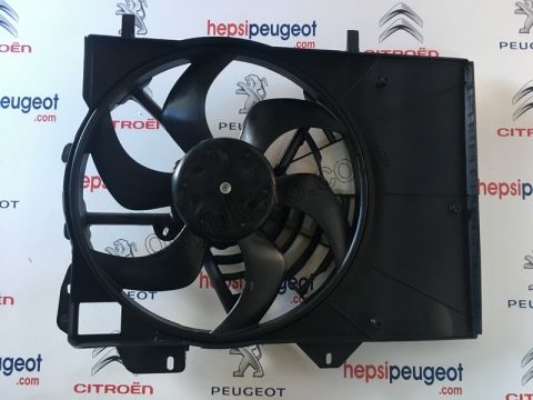 Fan Motoru EP P207 P2081 P301 P20081