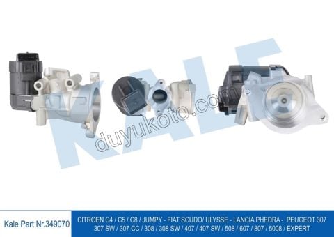 EGR Elektrovana P407 DW10