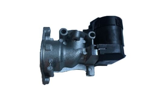 EGR Elektrovana P407 DW10