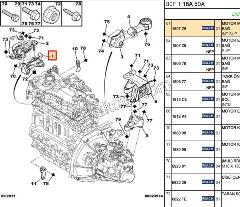 AYAK UST MOTOR TAKOZ TURUCU R P107 1.4HDİ Euro4 02/11
