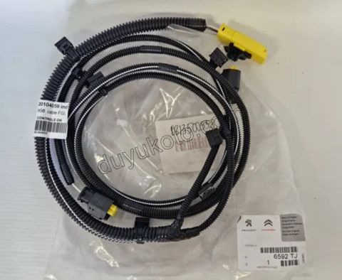 TESISAT SIS FAR C3PC1