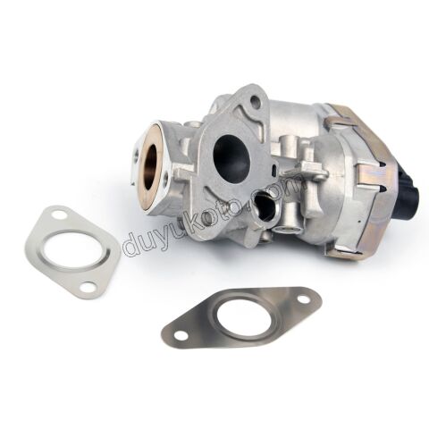 EGR VANASI BXR3
