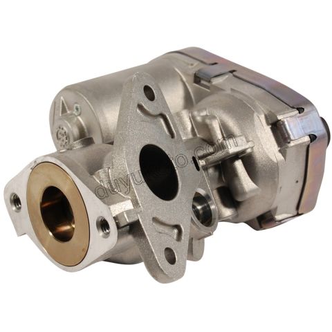 EGR VANASI BXR3
