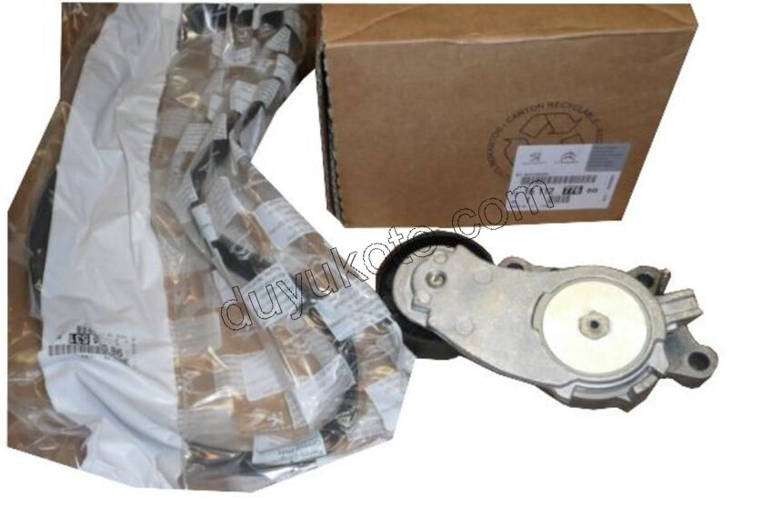 KIT KAYIS ALTER 1.6HDİ Euro5 P301 P3081 1611425680+9800453180 6PK0966