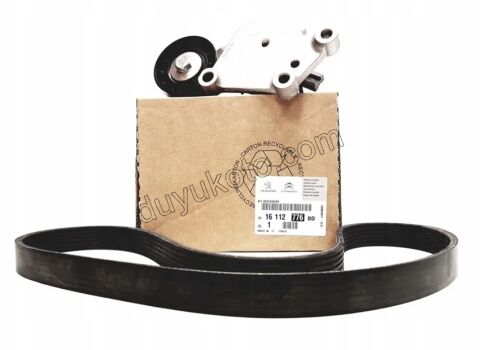 KIT KAYIS ALTER 1.6HDİ Euro5 P301 P3081 1611425680+9800453180 6PK0966