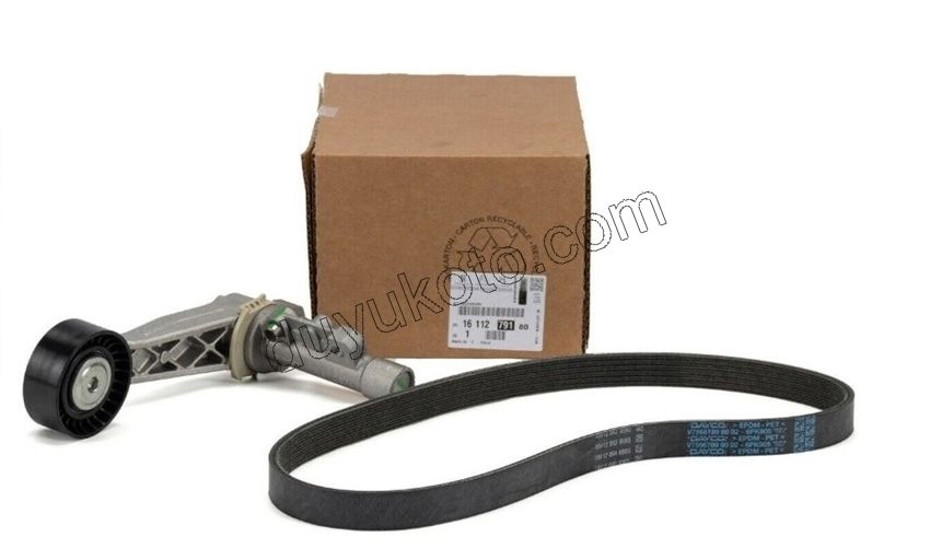 Alternatör V Kayış Kiti (Gergi Kütüklü) 1.6VTi 120HP
