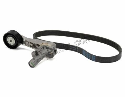 Alternatör V Kayış Kiti (Gergi Kütüklü) 1.6VTi 120HP