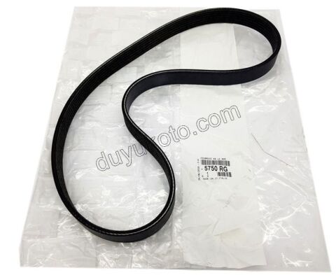 Alternatör V Kayış Kiti (Gergi Kütüklü) 1.6VTi 120HP