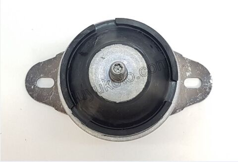 TAKOZ MOTOR R UST DW10 8V P407 P607