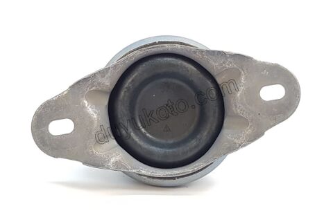 TAKOZ MOTOR R UST DW10 8V P407 P607