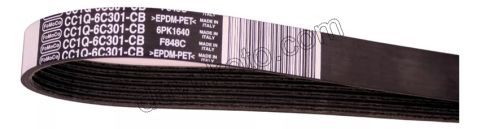 KIT KAYIS ALTER RULMAN Klimalı BXR3MQ 4PCS