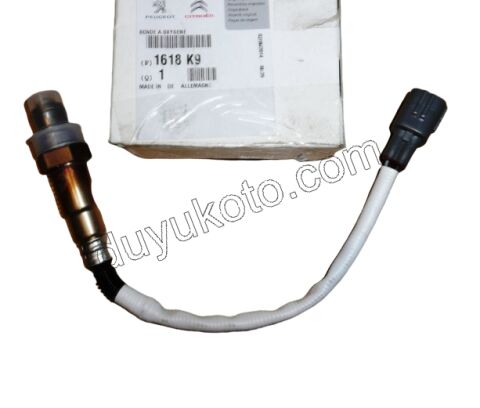 LAMBDA SENSOR ALT 31CM P107 C1 384F