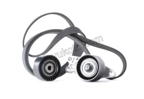 Alternatör V Kayış Kiti (Gergi Kütüklü) P206+ TU3A
