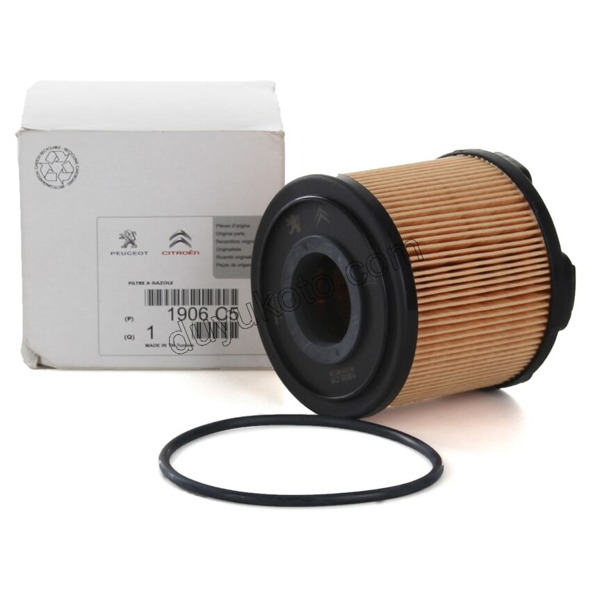 Mazot Yakıt Filtresi P406 DW10 8V