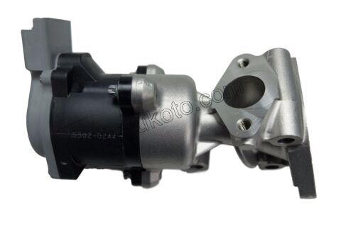 EGR Elektrovana P407 P607 C6 DT17