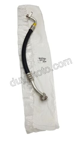 HORTUM KLIMA KOND+KOMP KISA P307 BENZINLI
