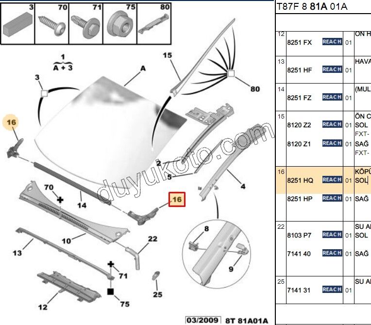 KAUCUK ON CAM ONU IZGARA YAN L P50081