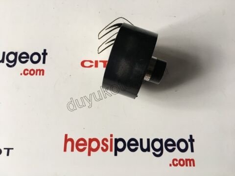 Tek Alternatör Gergi Rulmanı Düz 1.4HDİ/1.6HDİ Euro4