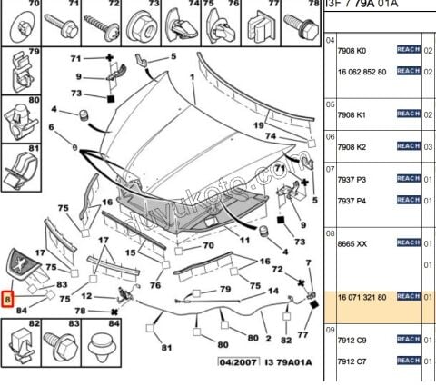 ASLAN AMBLEMİ P4007