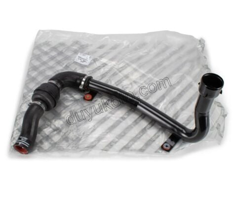 HORTUM TURBO INTER L ALT BXR3MQ DW10FU