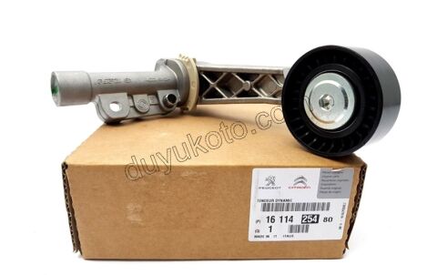RULMAN ALTER AYAKLI 1.6THP 150HP KIT