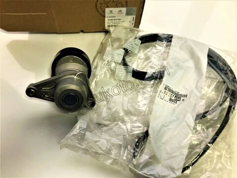 KIT KAYIS ALTER P301 EC5 1636996080 + 9675749480 = 6PK1036