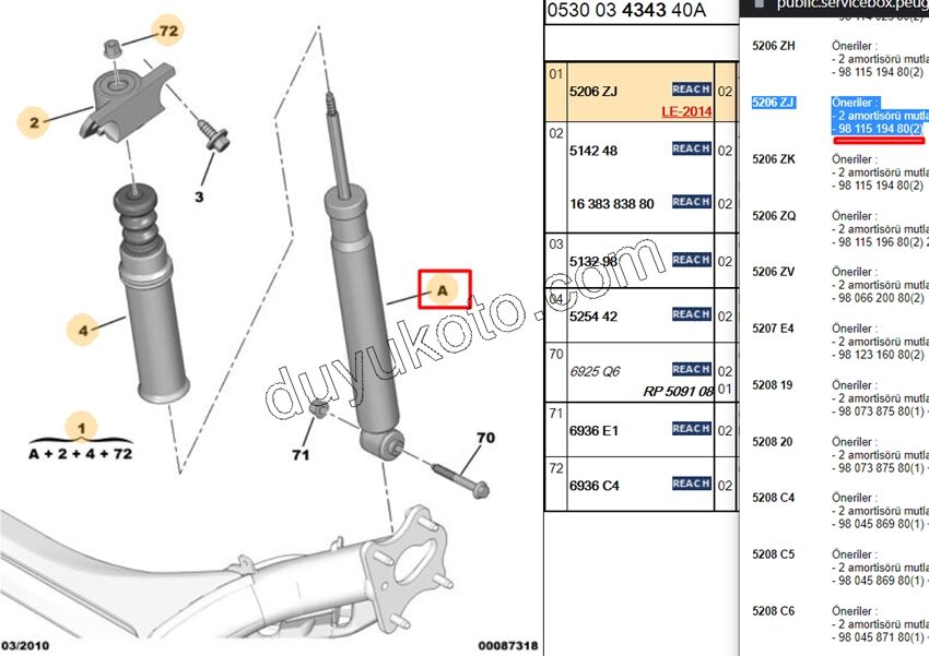 Arka Amortisör C42 DS41 P3081 P307