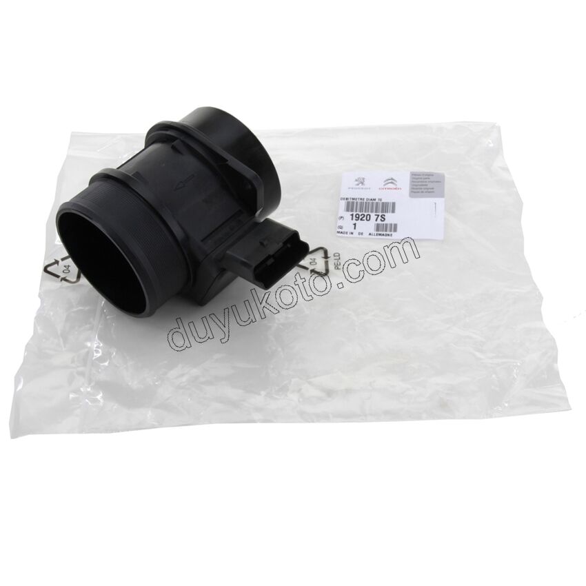 Motor Hava Akış Debimetresi 1.9D,Y.M 03/09 DW10 8V