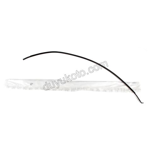 CITA TAVAN R P107 C1