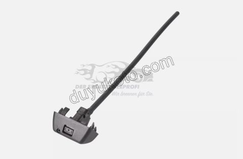 FISKIYE CAM SU P20082