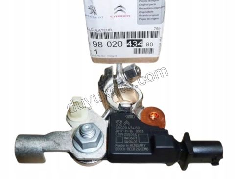 KUTUP BASI AKU SARZ BEYNI P3081 C42 P30081 P 50081 RCZ