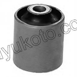 Arka Dingil (Travers) Burcu EXP1