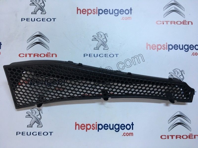 Polen Filtre Kapağı P2081 ON IZGARADA