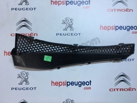 Polen Filtre Kapağı P2081 ON IZGARADA