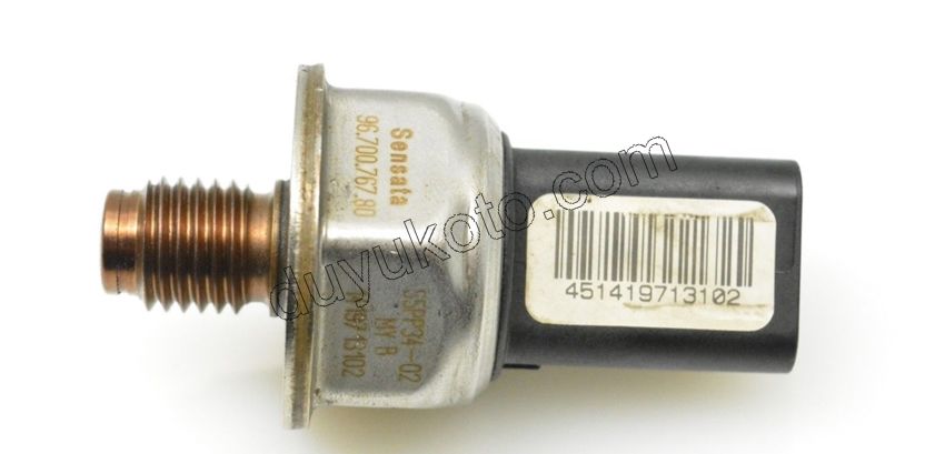 MUSUR BASINC ENJEKTOR RAMPA 1.4HDİ Euro5 12/16 1.6HDİ Euro5 9670076780 55PP34-02 1920.TL 9813735580
