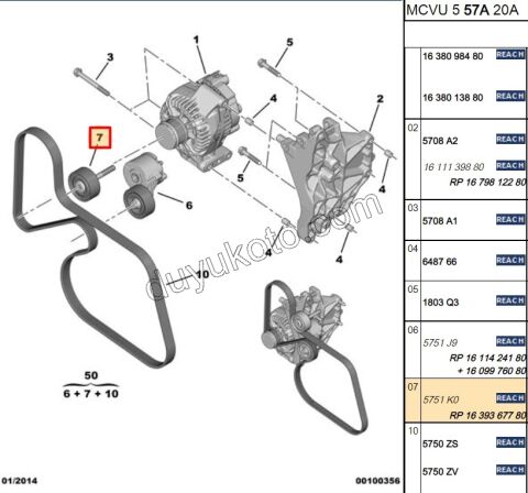 Alternatör (V Kayış) Gergi Rulmanı (Civatasız) PBP 1.3HDI EURO5