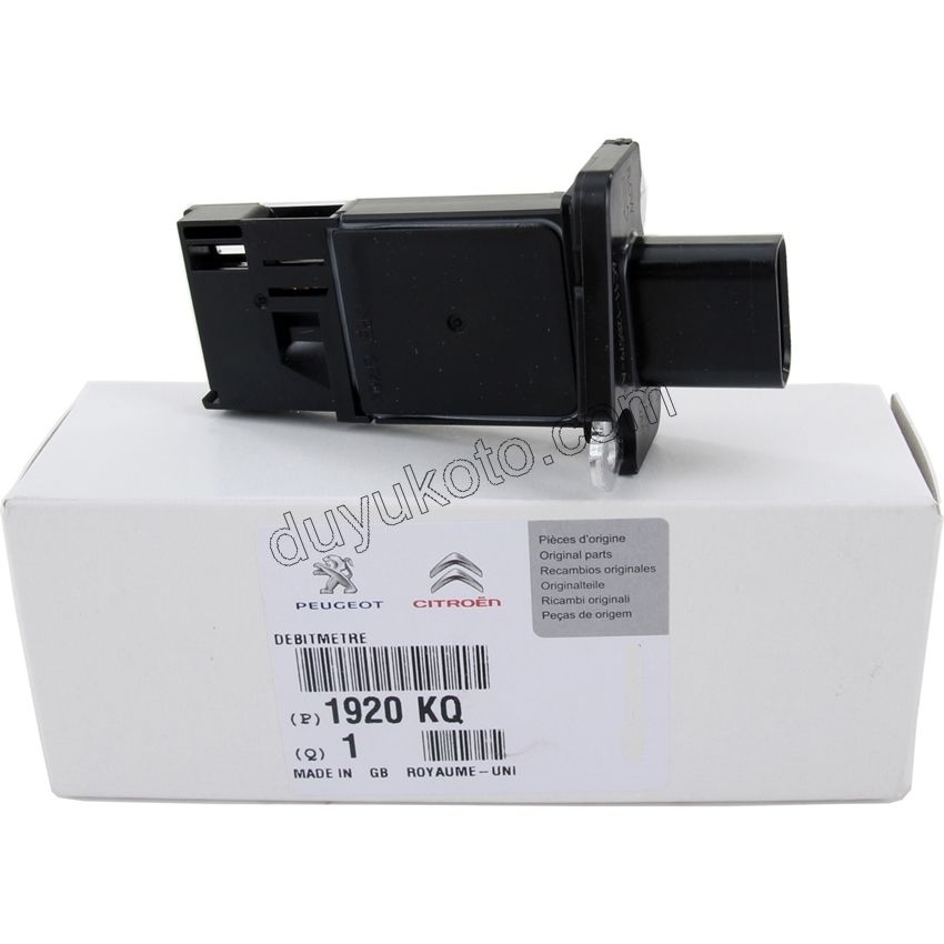 Motor Hava Akış Debimetresi BXR3 120CV EURO4