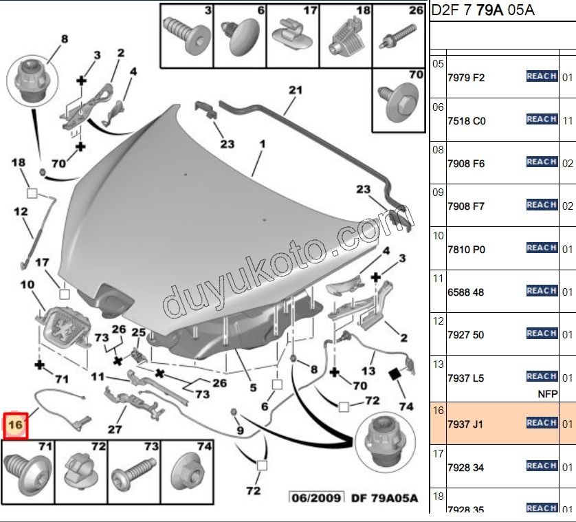 TEL MOTOR KAPUT EMNIYET MANDALI P407 COUPE P807 C53