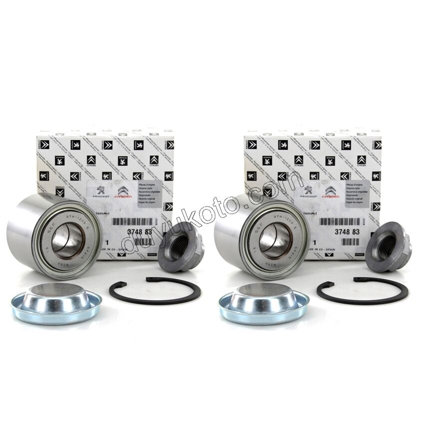 Arka Teker Rulmanı P307