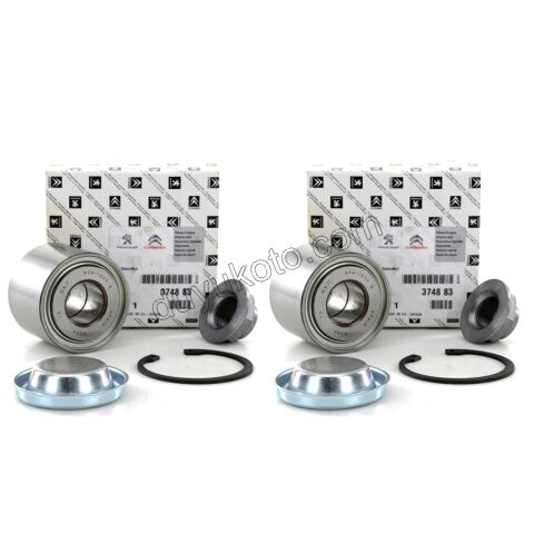 Arka Teker Rulmanı P307