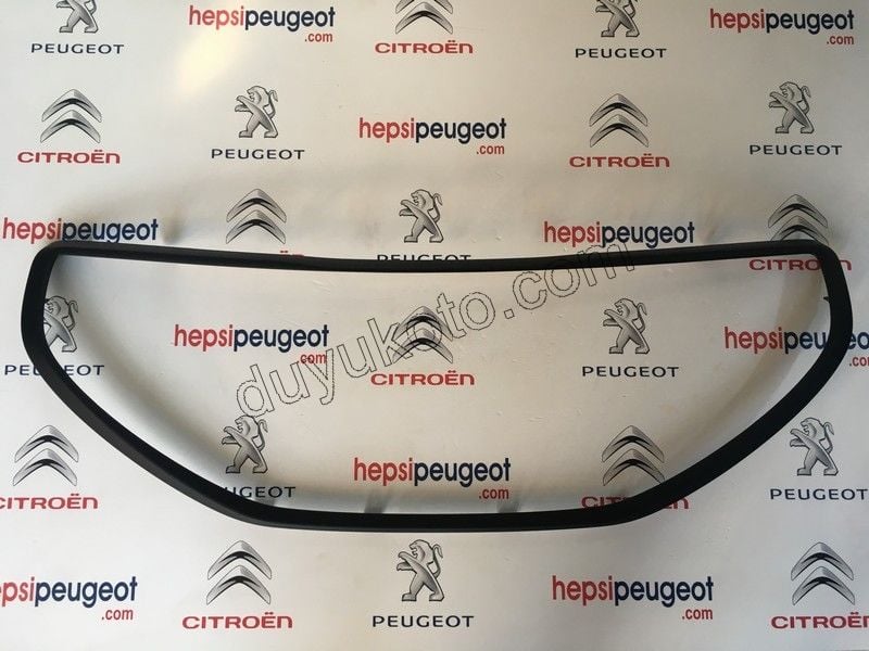 CERCEVE ON TAMPON ORTA IZGARA P2081 AST+