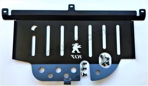 MUHAFAZA KARTER SAC P107 C1