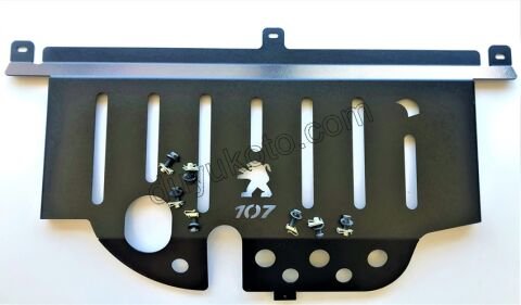 MUHAFAZA KARTER SAC P107 C1