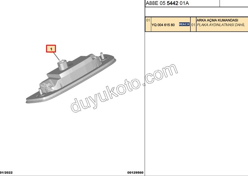 Bagaj Açma Anahtarı ve Plaka Lambası PLAKA C3AIR