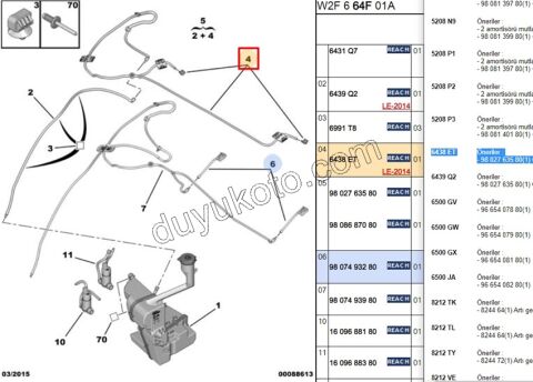 FISKIYE MEME ON CAM + HORTUM TK P5081 TEK