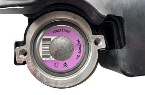 Direksiyon Pompası PRT2 DW10 8V