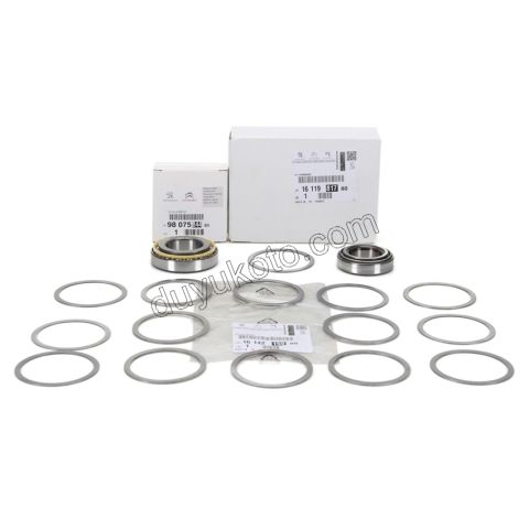 RULMAN SANZIMAN PURUZDIREK TK BXR3 DCT3