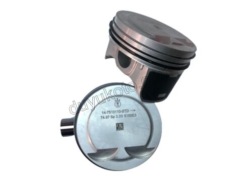 PISTON + SEGMAN KIT STD ET3J4