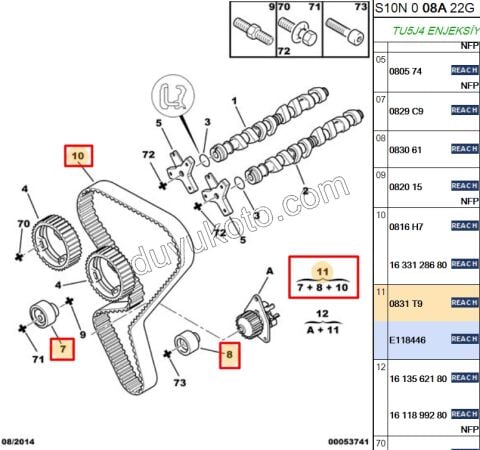 Eksantrik/Triger Kayış Seti TU5J4 P106 GTI