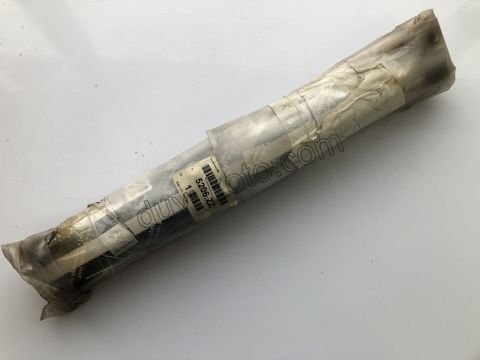 Arka Amortisör C33 DS3